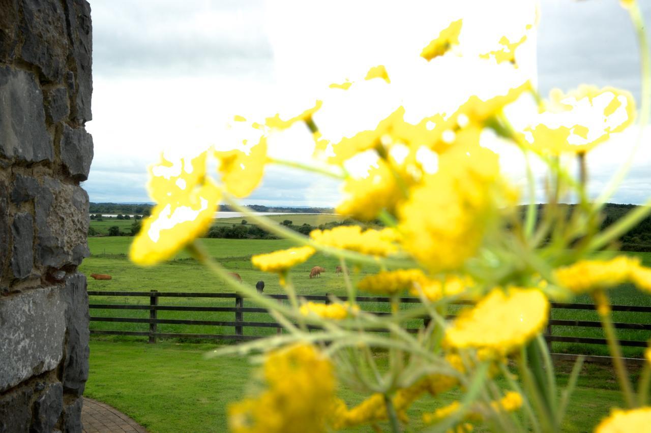 Bunratty Meadows Bed & Breakfast Exteriér fotografie