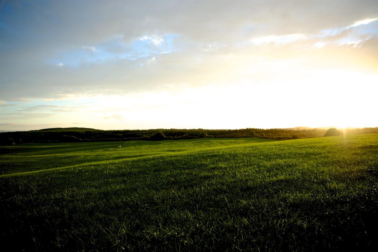 Bunratty Meadows Bed & Breakfast Exteriér fotografie